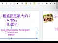 倉鼠測試Hamster Test