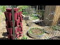 The Easiest Garden Trellis You Can Build Without Tools: Simple, Heavy Duty, Built in 2 Minutes!