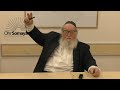 The Mitzvah of Counting the Omer (HaRav Yitzchak Breitowitz)
