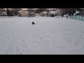 Fun snow hill luge in the backyard!