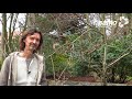Zahradnictví SAFRO® Jarní střih keřů (Spring pruning - English subtitles)