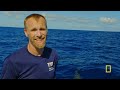 Investigating Shark Attacks (Full Episode) | Jaws Vs. Boats