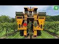 The Most Modern Agriculture Machines That Are At Another Level | Pumpkins Harvesting