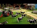 RC FARMING - COWS BACK HOME with Tractors on the Corleone Farm