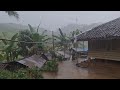 Heavy Rain and Thunderstorms in Rural Areas | Sleep In Minutes - Meditation | Indorain