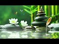 Relaxing music Relieves stress, Anxiety and Depression 🌿 Heals the Body and Soul - Deep Sleep #2