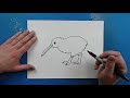 How to Draw a KIWI BIRD!!!