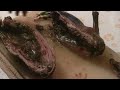 Best Chinese BBQ Meats  {In Vancouver's Other Chinatown)   烧鸭  Chinese Roast Duck Recipe Delicious