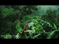 Quran with rain & thunder sounds!! Mesmerizing Quran feel nature | Surah Yunus | Sheikh Moaaz Yasir