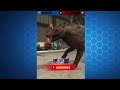 I Unlocked the DEADLIEST Dino In The Game… (Jurassic World Alive)
