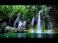 Mind calming relaxation music, piano sounds, melodious sounds of water and birds. Pecae of mind