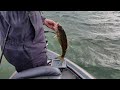 G Vlog-61 Spotted Bass