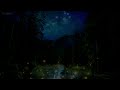 A Rainy Night in the Forest: Cozy Sleep Story with Rain & Nature Sounds