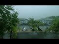 Florida Afternoon Thunderstorm | First Tampa Thunderstorm