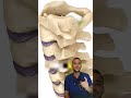 Anatomía de la columna cervical