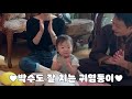 BTS 'IDOL'  on Jimmy Fallon Show Reaction / Retired Teacher(Korean history) Family's Reaction