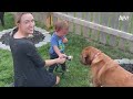 Don't Forget to Water The Dog  🐶🚿 Funny Dog Videos