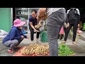 Harvesting Banana Fruit Garden Goes to the market sell - Gardening | Lý Thị Ca