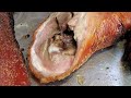 #RoastedPig StreetFood  #RoastedDuck #RoastedGoose ，Roasted#Suckling-pig #StreetFood Suckling-pig