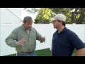 How to Revive a Brown Lawn | This Old House