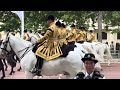 POLICEMAN RESCUES DEHYDRATED GUARD DURING JAPANESE STATE VISIT WITH PRINCE WILLIAM