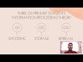 Information Processing (Video Lecture with Ms. Ma. Pamela T. Domino)