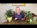 Winter Plant Care Basics | Houseplants Tips & Tricks Ep. 27