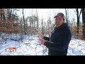 Small Property Timber & Deer Management Tips