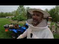 Learn Something Today: Honey Bees 101 How’s it all Work?