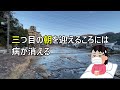 【女ひとり旅】鳥取砂丘に絶品グルメ…初めての鳥取県を大満喫してきた。【境港/三朝温泉/白兎神社/投入堂】