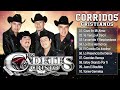 Top Colección De Diamante 🤲 Los Cadetes de Cristo 🙏 Musica Corridos Cristianos