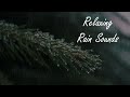 Rainforest Rain Sounds with gentle thunder & wind -Relaxing Nature Sounds.