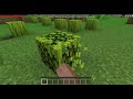 Weird features only in Minecraft China Edition