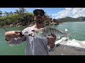 LIVE PRAWNS SAVED OUR DAY | Fishing Townsville N.Q