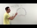 Respiratory Physiology | The Respiratory System