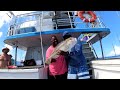 Golden Ticket #DeepSeaFishing #GoldenTileFish #Fishing #BigFish #TileFish #StarFish #LionFish