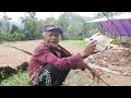 Kampung Terpencil Di Kaki Gunung Cidaun, Sekolah Jauh Sampai Harus Kost.