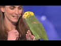 WHAT?! Echo The Talking Bird on AGT!