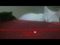 Tribute to my Beloved cat ICY // January 25 2019