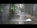 Gentle Rain Sounds For Sleeping 2 Hours Calming Rain Sounds For Anxiety