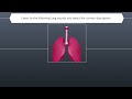 Medical Legend : lung sounds  MCQ🔥🔥🔥🫁🫁 #lungsounds