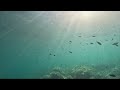Mediterranean Relax 4K HD. Protected nature reserve filmed in free diving. Mediterranean paradise.
