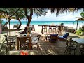 Seaside Cafe Ambience | Tropical Cafe for Gentle Waves and Relaxation