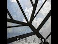 Skylight Rain