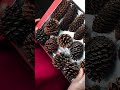 How to Clean Pine Cones for Crafts