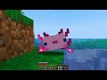 Minecraft ama HER MOBUN İÇİNE GİREBİLİYORUM