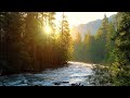 Golden Sunrise on Merced River, Yosemite | 4K Relaxing Nature Scene | Relaxing River Sounds | 6 Hour