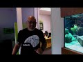 2700 litre / 700 gal Aquarium: AMAZING Hardscape Concept w/ STUNNING FISH!
