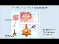 「脳と感情」筒井健一郎 教授（生物学科）