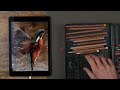 Pastel Pencils Lesson: How To Draw A Kingfisher